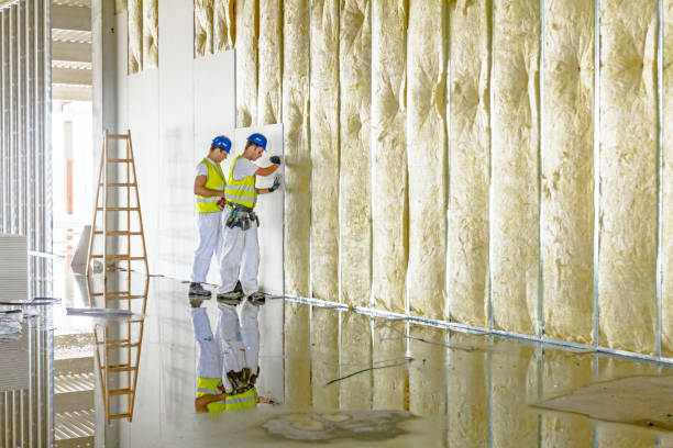 Insulation Air Sealing in Beaver, OK